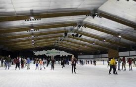 Alpine Ice Rink